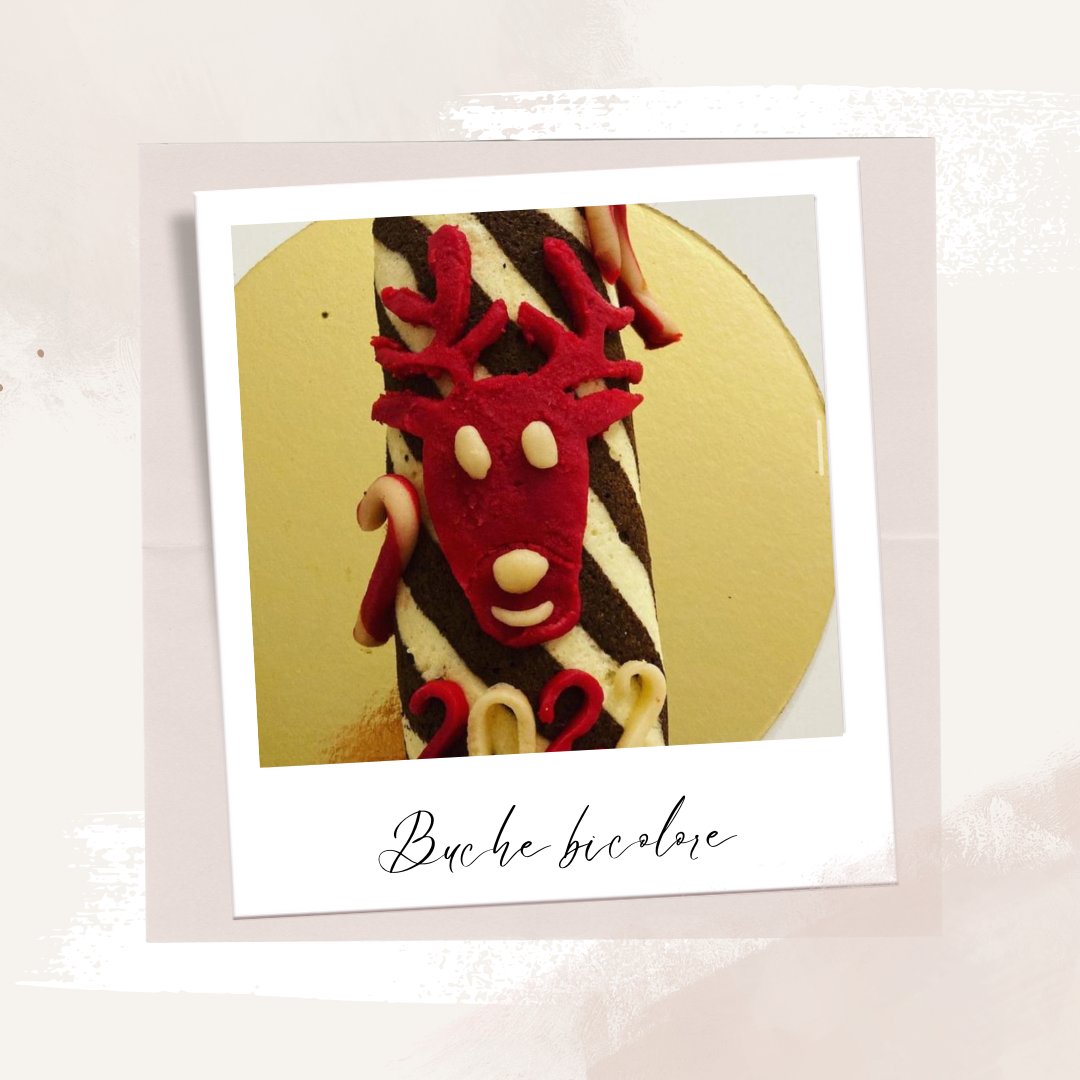 Bûche Bicolore